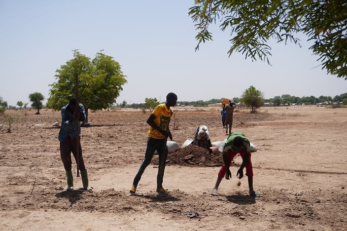 Les dégâts du changement climatique au Cameroun et au Tchad